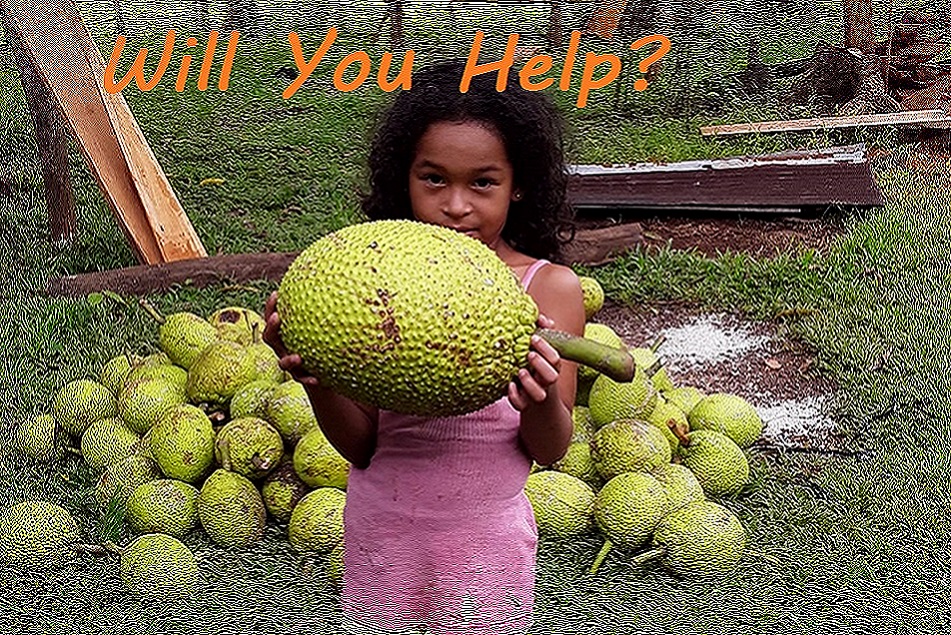 Girl with fruit